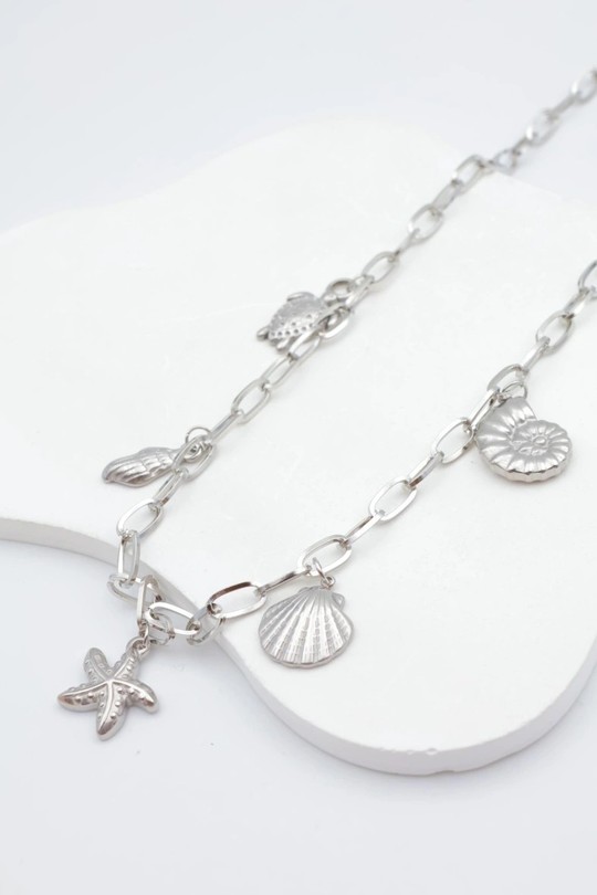 N589-ARGENT