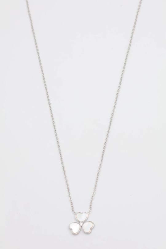 T109-ARGENT