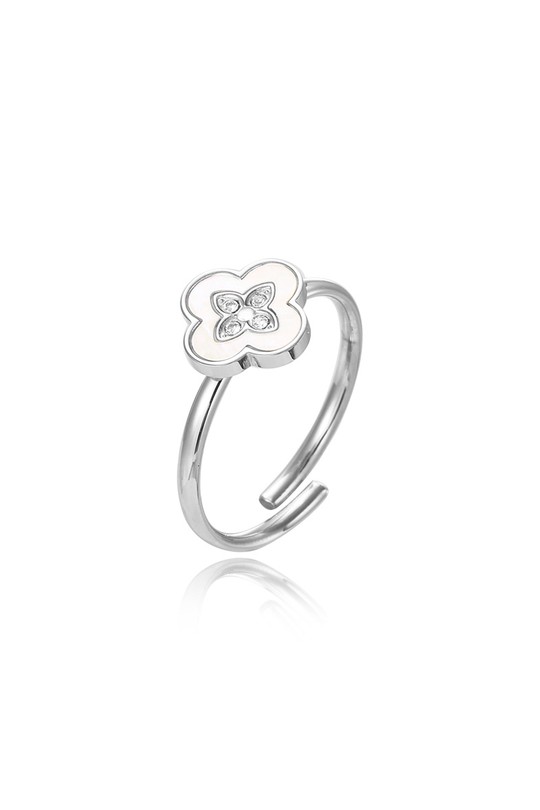 W-YCR0490-ARGENT