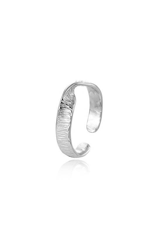 W-YCR0613-ARGENT