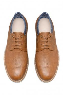 T115-CAMEL