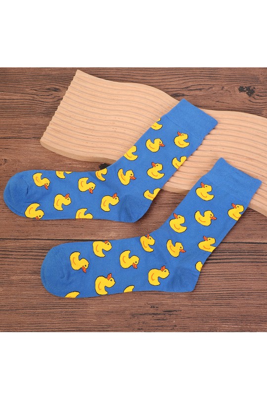 SC906Canards-BLEU