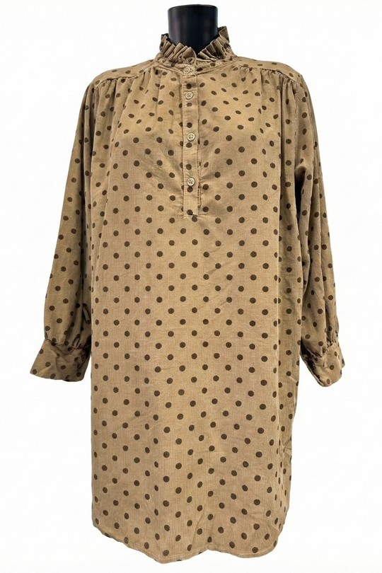 69098Pois_RVPois-CAMEL