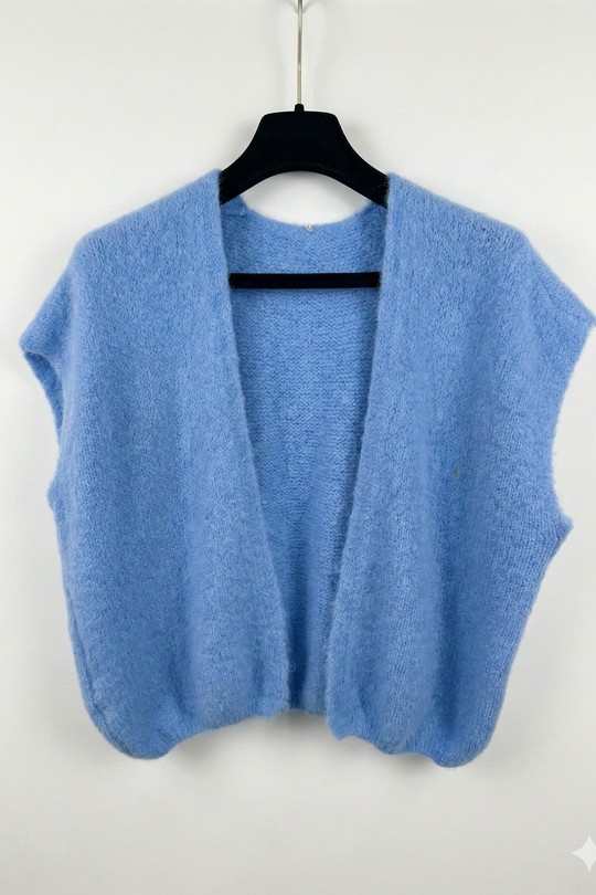 25857_GiSMOuvert-BLEU CIEL