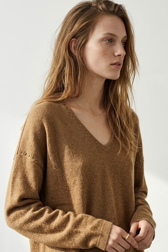 CA923_PuVClous-CAMEL
