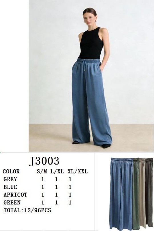 J3003