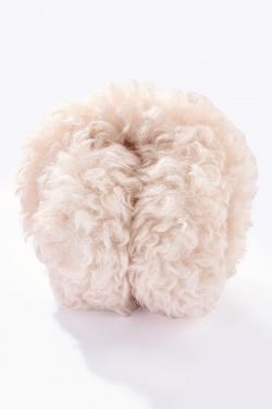 CC11-BEIGE