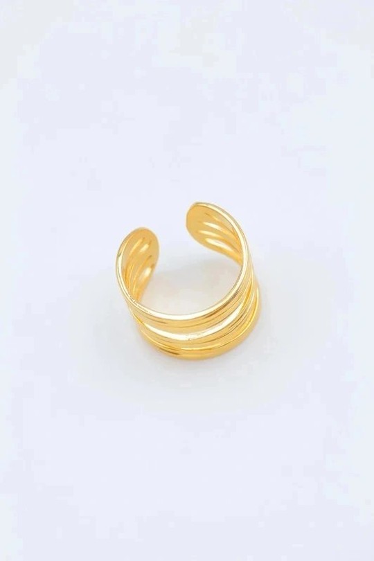 N613