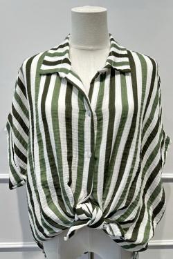 3679-VERT