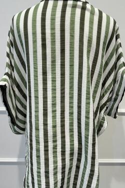 3679-VERT