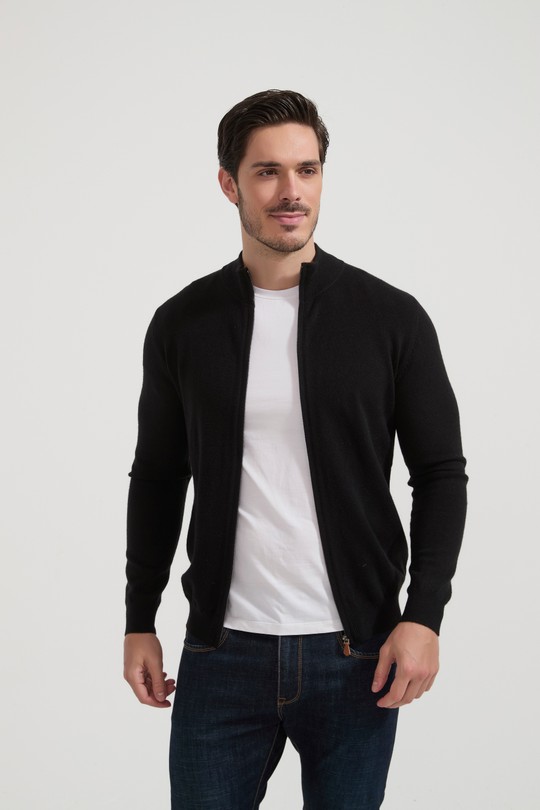 6751 GUILLAUME-NOIR