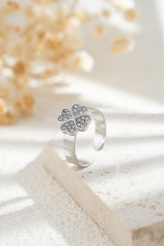 AN72012-250-ARGENT