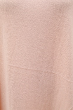 V52-ROSE CLAIR