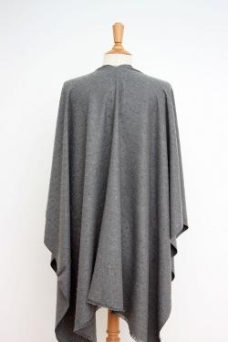 CAPO10-GRIS