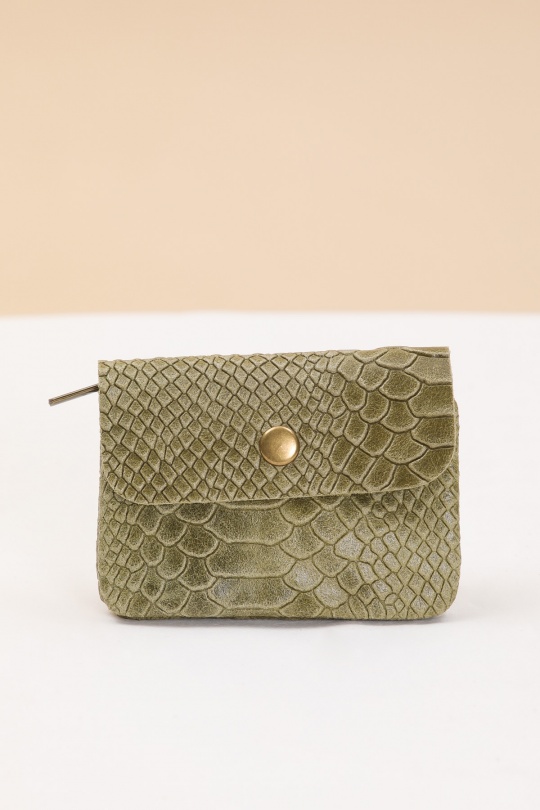 PM02-PYTHON OLIVE