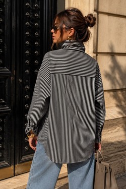 CH310-NOIR