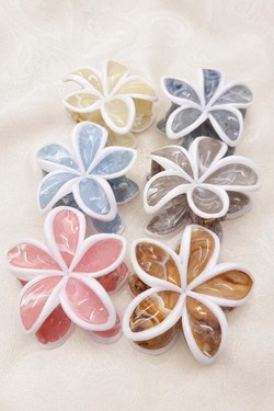PINCE001-MULTICOLORE
