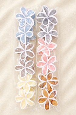 PINCE001-MULTICOLORE