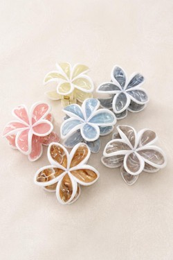 PINCE001-MULTICOLORE