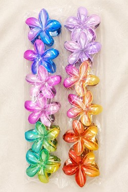 PINCE002-MULTICOLORE