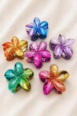 PINCE002-MULTICOLORE