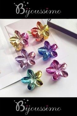 PINCE002-MULTICOLORE