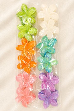 PINCE003-MULTICOLORE