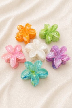 PINCE003-MULTICOLORE