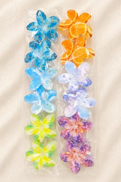 PINCE004-MULTICOLORE