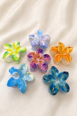 PINCE004-MULTICOLORE