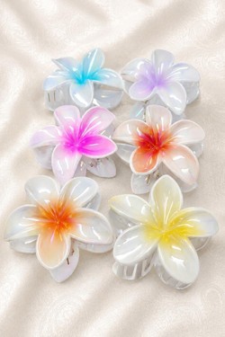 PINCE005-MULTICOLORE