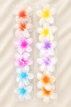 PINCE005-MULTICOLORE
