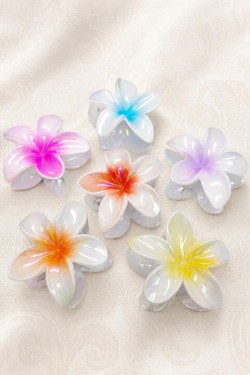 PINCE005-MULTICOLORE