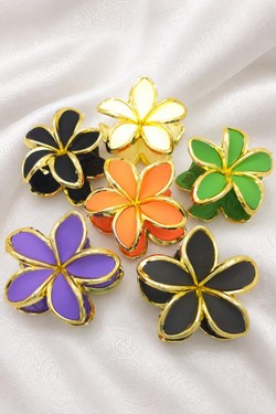 PINCE010-MULTICOLORE