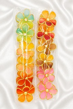 PINCE009-MULTICOLORE