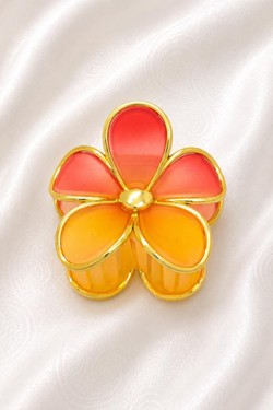 PINCE009-MULTICOLORE