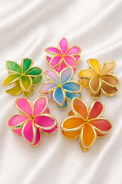 PINCE007-MULTICOLORE