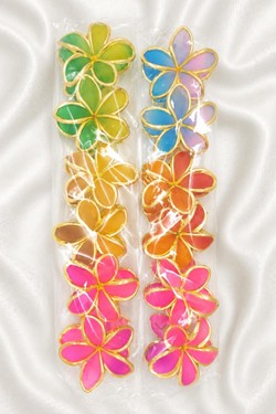 PINCE007-MULTICOLORE