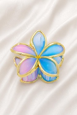 PINCE007-MULTICOLORE