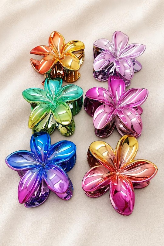 PINCE002-MULTICOLORE