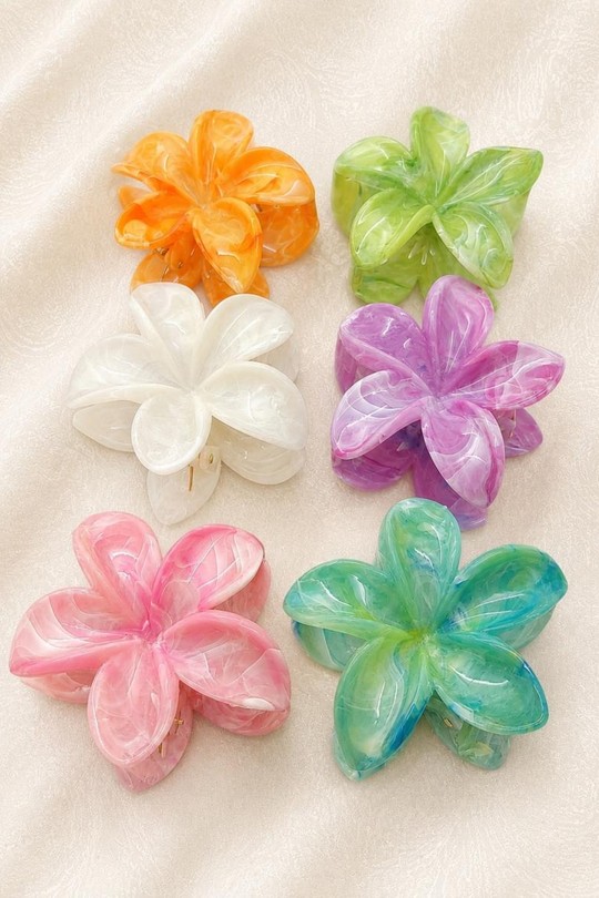 PINCE003-MULTICOLORE