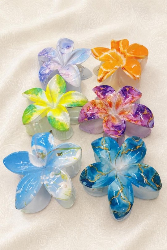 PINCE004-MULTICOLORE