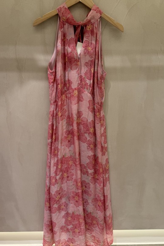K9-67-p3-ROSE