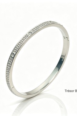 BR2665-ARGENT