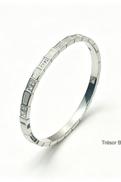 BR2666-ARGENT