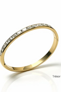 BR2667-ARGENT