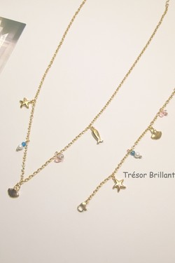 CO2631-ARGENT