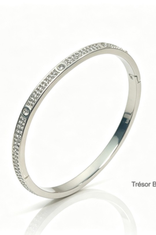 BR2665-ARGENT