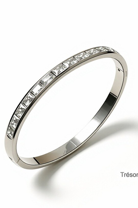 BR2667-ARGENT