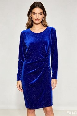 12863-BLEU ROI